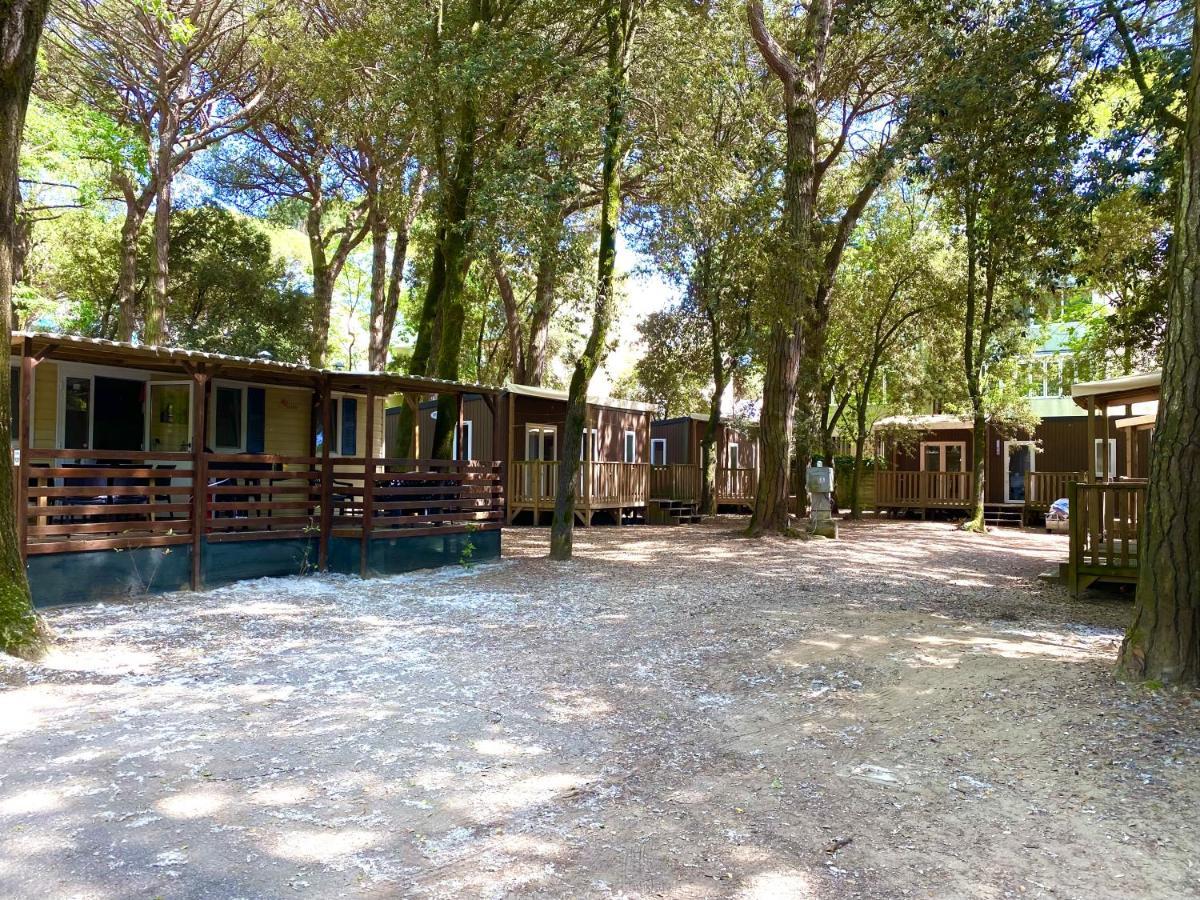 Dena Chalets - Lido Di Spina At The Beach Экстерьер фото